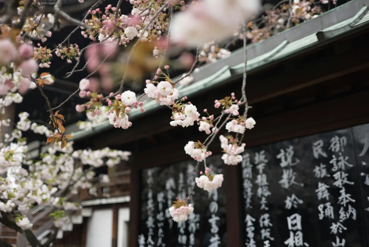 Best Hotels in Osaka: Where to Stay for Food & Sightseeing (2026)